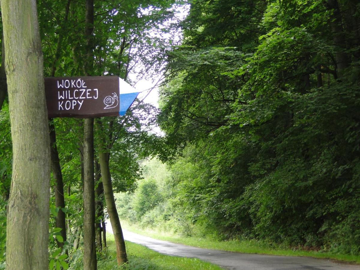 Romanówka Oldrzychowice Klodzkie Exterior foto